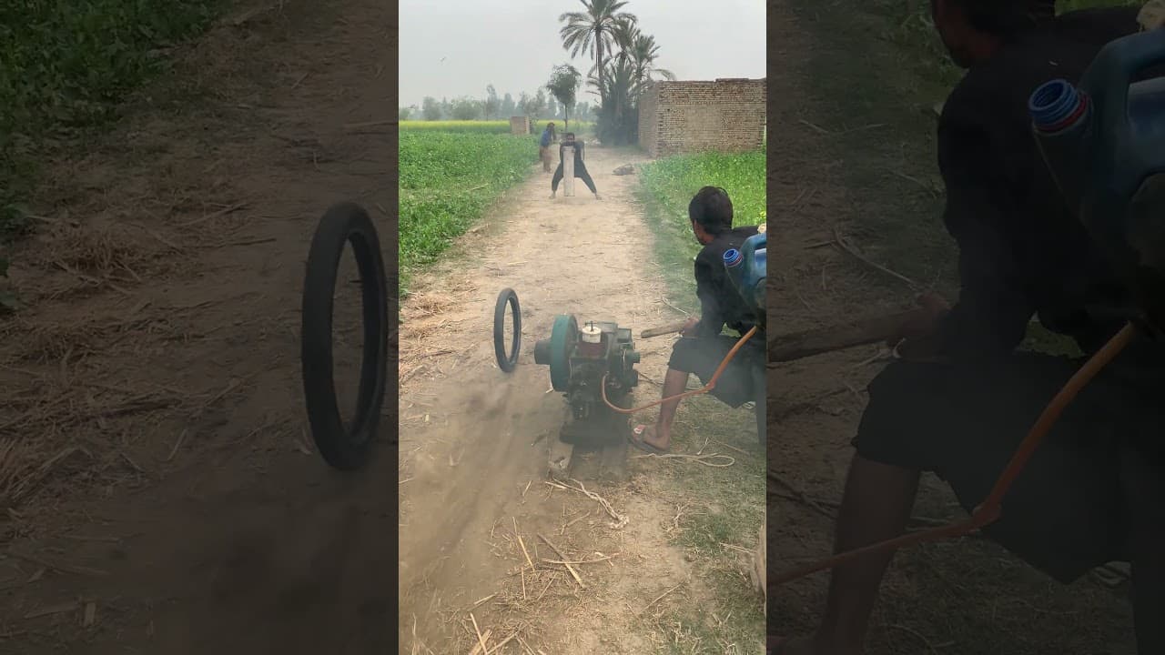 New Donkey speed test diesel engine start with boys🫏🫏🫏🫏