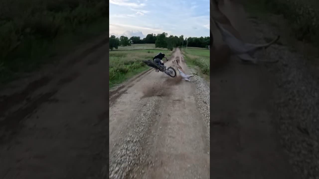 Deer rudely interrupts dirt bike race